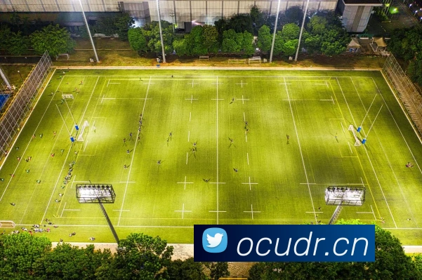 开云在线官方网站平台生态图