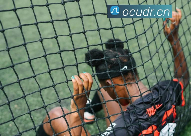 开云在线官方网站APP 封面图